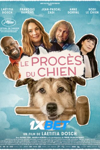 Dog on Trial 1xbet