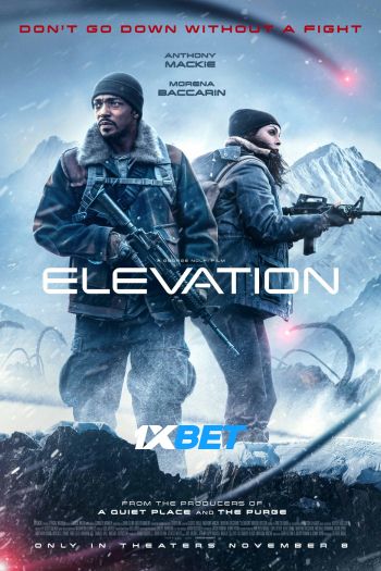 elevatio1xbet